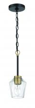 Craftmade 56991-FBSB - 1 Light Pendant